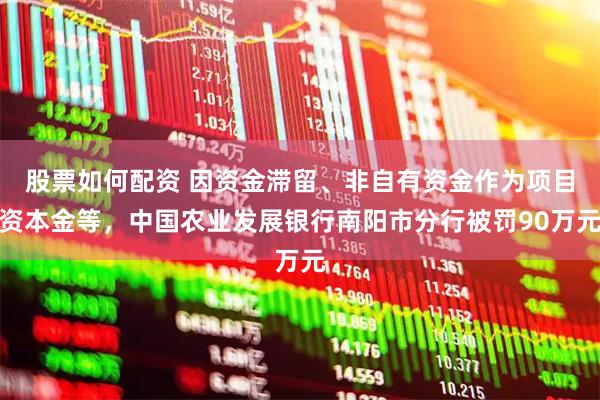 股票如何配资 因资金滞留、非自有资金作为项目资本金等，中国农业发展银行南阳市分行被罚90万元