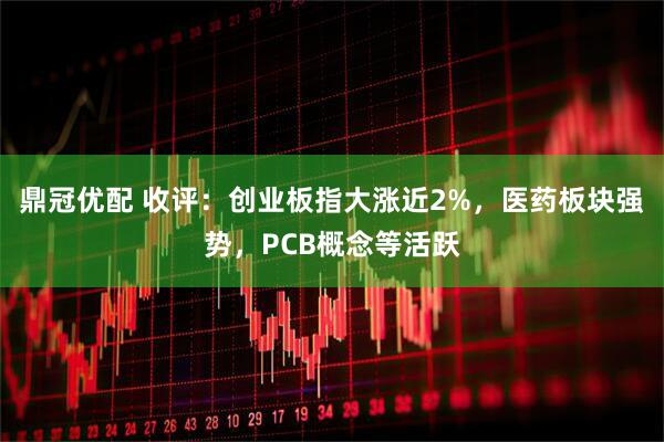 鼎冠优配 收评：创业板指大涨近2%，医药板块强势，PCB概念等活跃