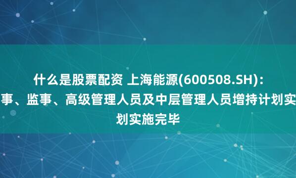 什么是股票配资 上海能源(600508.SH)：部分董事、监事、高级管理人员及中层管理人员增持计划实施完毕