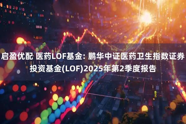 启盈优配 医药LOF基金: 鹏华中证医药卫生指数证券投资基金(LOF)2025年第2季度报告