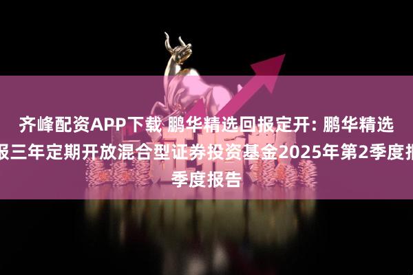 齐峰配资APP下载 鹏华精选回报定开: 鹏华精选回报三年定期开放混合型证券投资基金2025年第2季度报告