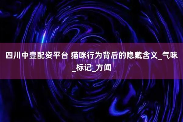 四川中壹配资平台 猫咪行为背后的隐藏含义_气味_标记_方闻
