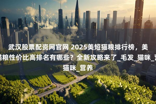 武汉股票配资网官网 2025美短猫粮排行榜，美短猫粮性价比高排名有哪些？全新攻略来了_毛发_猫咪_营养