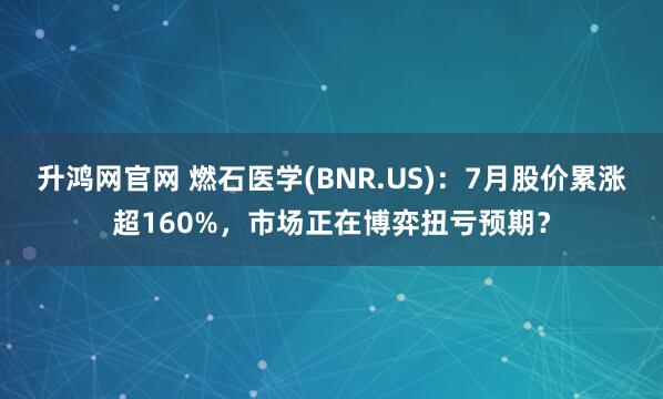 升鸿网官网 燃石医学(BNR.US)：7月股价累涨超160%，市场正在博弈扭亏预期？