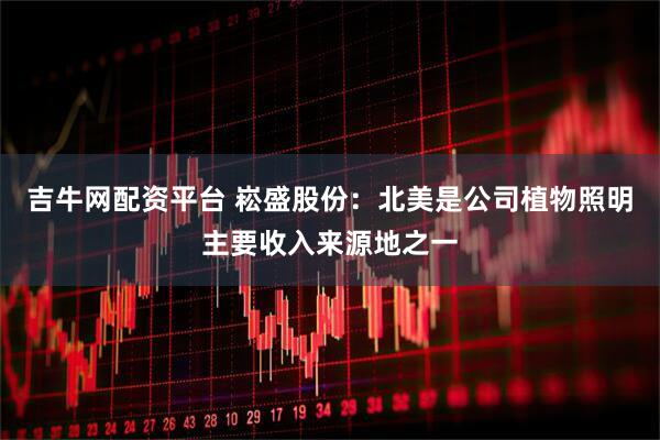 吉牛网配资平台 崧盛股份：北美是公司植物照明主要收入来源地之一