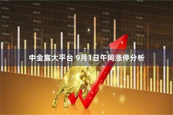 中金宸大平台 9月1日午间涨停分析