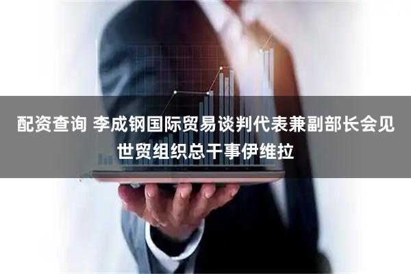 配资查询 李成钢国际贸易谈判代表兼副部长会见世贸组织总干事伊维拉